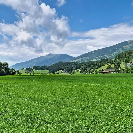 Panoramablick Tauern By Interhome Hébergement de vacances Mittersill